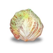 Radicchio Lusia