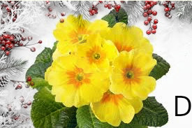 Confezione di Natale - Primula salata (copia)