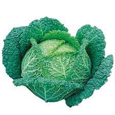Cavolo riccio