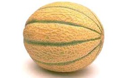 Meloni