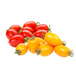 Pomodoro datterino  rosso e giallo
