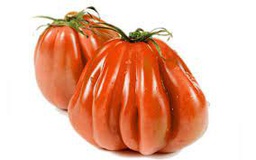 Pomodoro cuore di bue