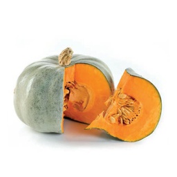Zucca delica (copia)