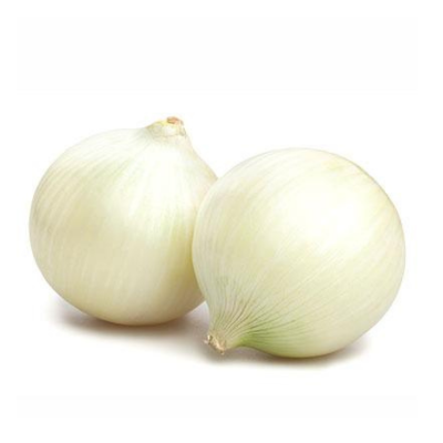 Cipolla bianca tonda