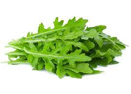 Rucola
