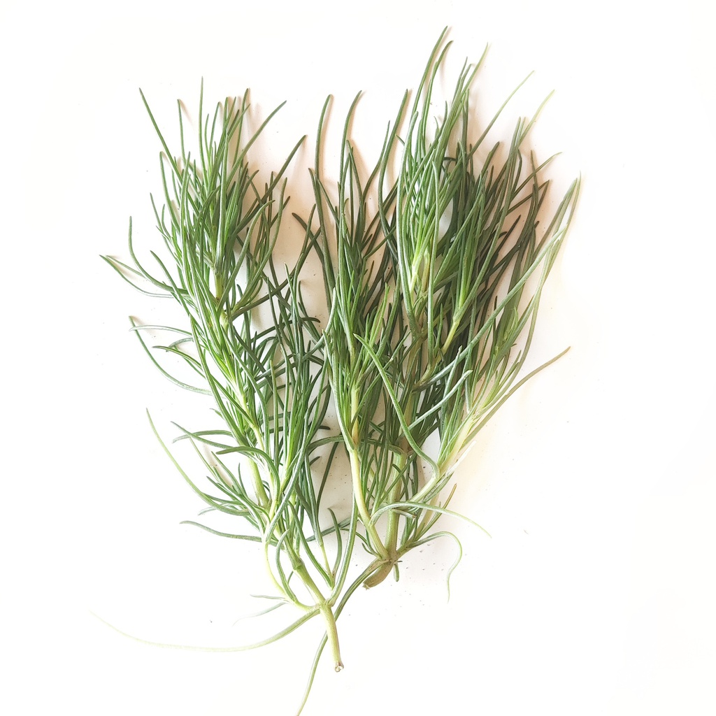 Agretti - mazzetto 200 gr