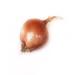 Cipolla dorata nuova